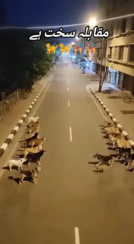 #abid #joiya #funny #tiktok #😝😜😝 