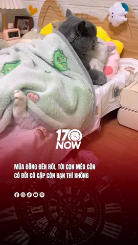 Bộ làm vậy không sợ t nghĩ qu.ẩn hả #17network #17now 