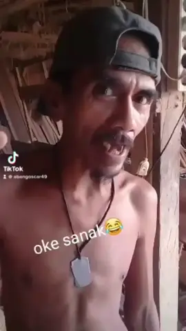 Seamuntaian seindonesia an