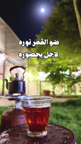 #CapCut ضو القمر نوره  لاحل بحضوره نور القمر طاغي  في ارض ممطور والغيمه لا طلت  وامزونها حلت مزنه مثل دمعه #قوالب_ندى_الورد #شيلات #منشن #محمد_العنزي @المنشد محمد العنزي  من غاليه هلت