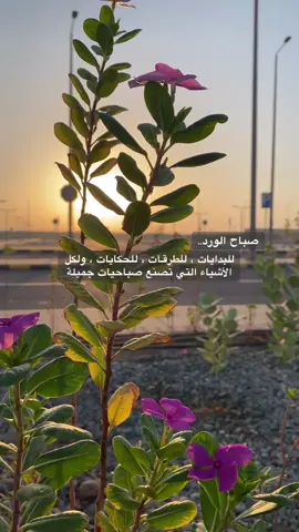 ‏‏ارفع يقينك بالله واستبشر خيراً ..💙#تصويري #اكسبلور #fypシ #مجرد_ذوق 