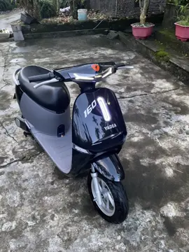 Bờ lách ⚫️ #xuhuong #xuhuongtiktok #gogo #gaugaumeomeo 