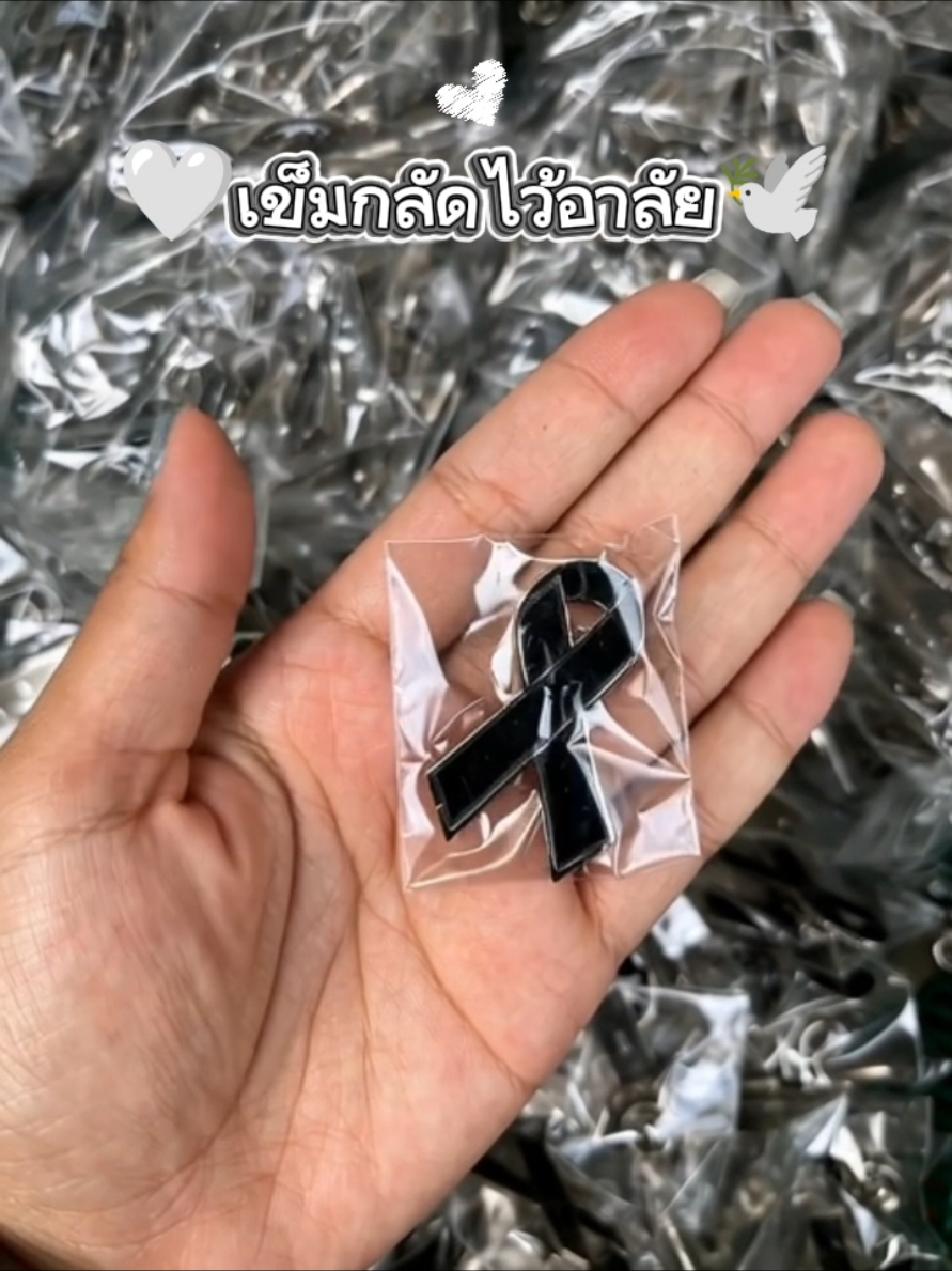 เข็มกลัดไว้อาลัย🕊️🤍 #ไว้อาลัย #สินค้าขายดี #ป้ายยา #นายหน้าtiktokshop #พิกัดลับกรุงเทพ 