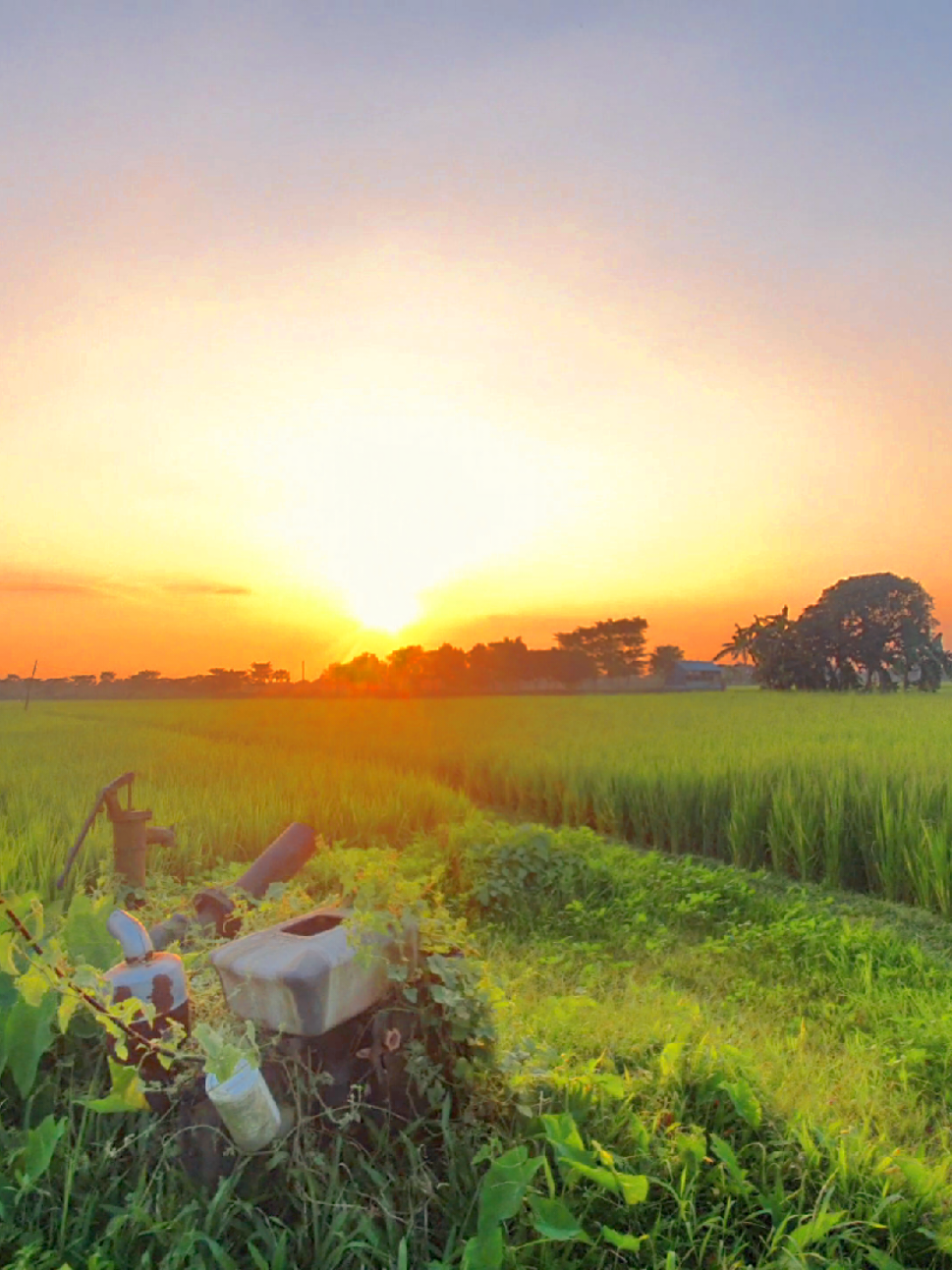 সুখে থাকলেও মরে যাবো ❤️‍🩹🥺 #unfrezzmyaccount #foryoupage #muslim #আনিসুর_রহমান_আশরাফী💖💖 #bdtiktokofficial 