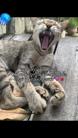 💞 #fyppppppppppppppppppppppp #crd #moots? 