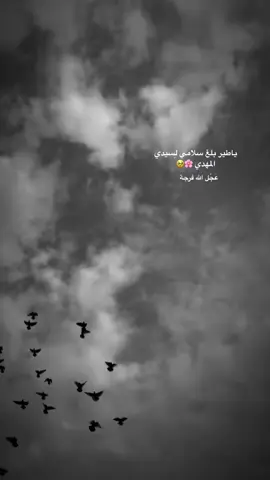 # سيدي هل ياترى نراك وترانا😔🌸✨ # اللهم عجل لـــــــــوليك الـــفرج .
