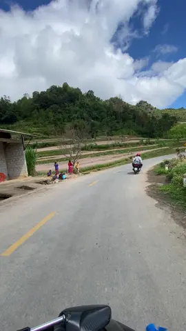 hoa tam giác mạch nở rồi các người đẹp ơi  đi hà giang đi #lotusgrouphagiang #lotusgrouptourshagiang #lotushosteltours#hoatamgiacmach 