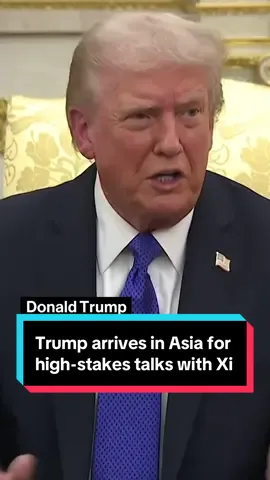 Donald #Trump arrives in #Asia for a three-nation tour and high-stakes meeting with #Xi Jinping. But how much is really on the table to get a trade deal with China? #china #politics 