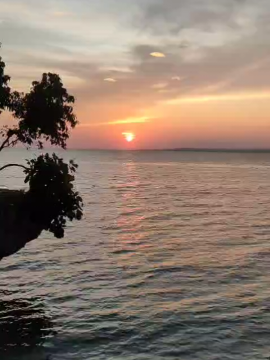 🥺🌊🌅#bollywoodsong #indiansong #humnava  #saiyaara 