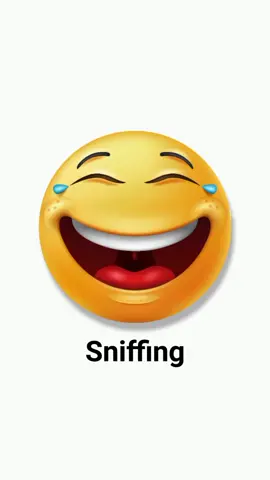 Sniffing ‎ ‎‎#sound #effect #youtube #meme #2025