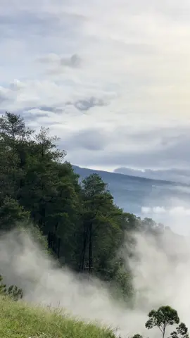 ⛰️🍃☁️