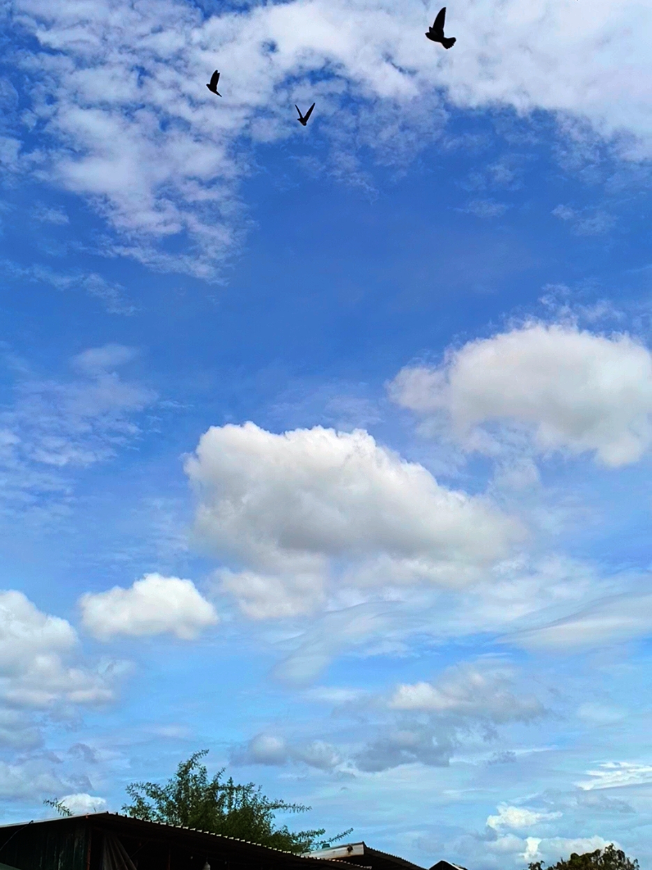 #sky #skyblue #bluesky #cloud #clouds #awan #nasa #astrology #fyppppppppppppppppppppppp 