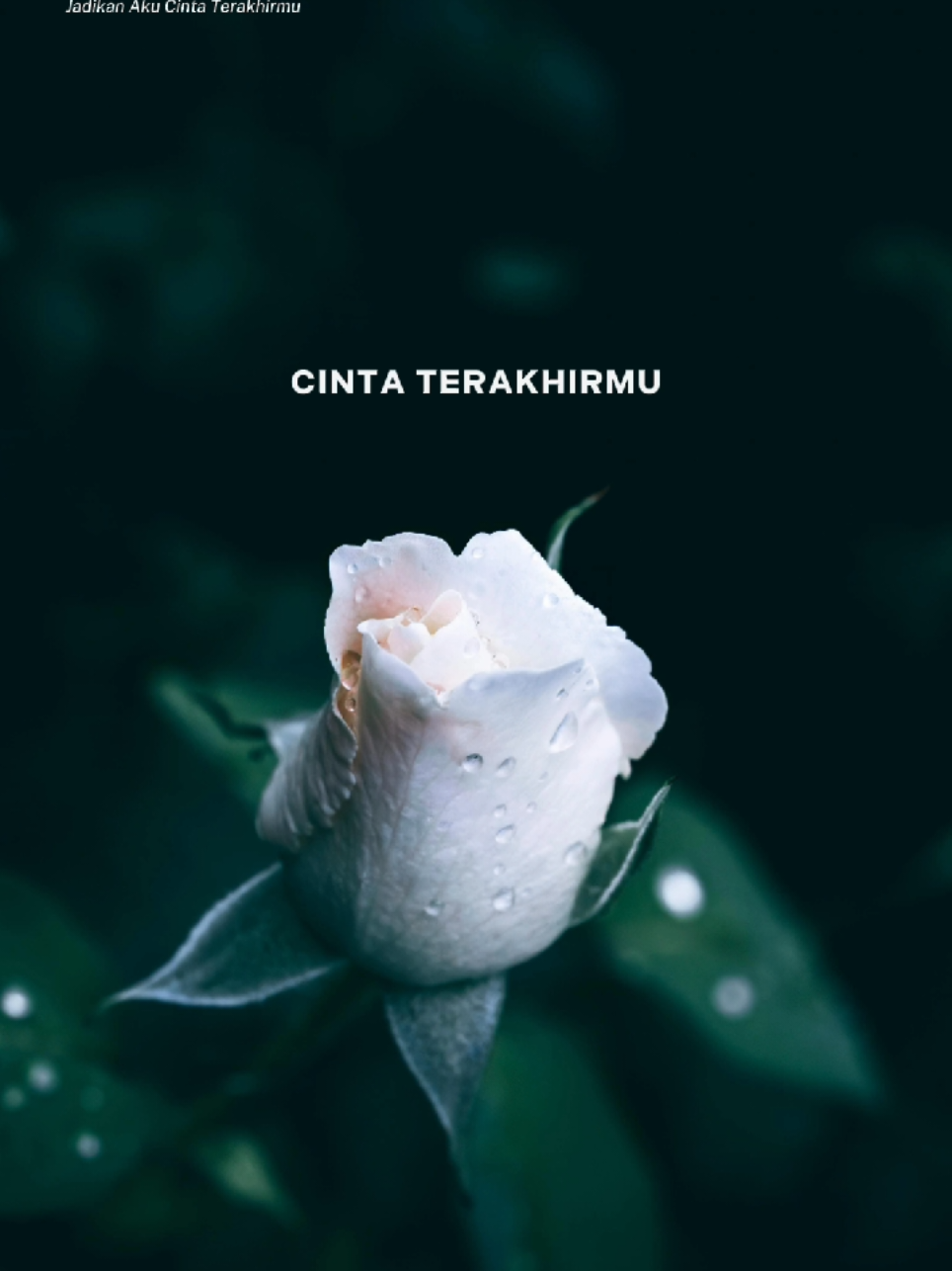 Jadikan aku cinta terakhirmu #CapCut #fyp #lirik #capcutpioneer #pioneertemplate 