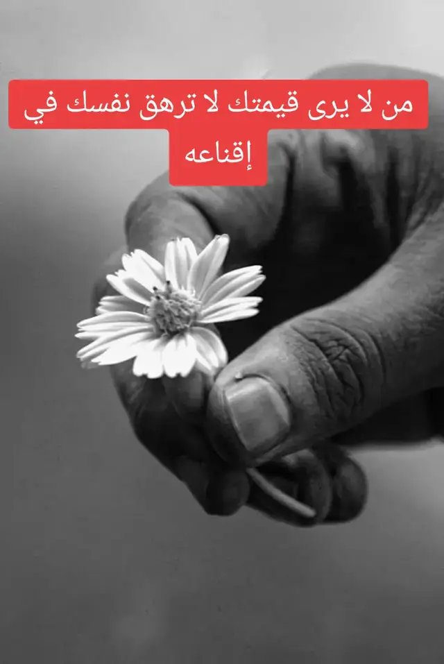 #تكسر_خواطر_الريدة_تاني_تصلحها🎶💜  #خواطر_للعقول_الراقية_فقط 
