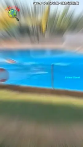 di Amerika 🇺🇸 helikopter pemadam kebakaran, mengambil air terdekat, di manapun tempatnya bebas tanpa izin.... demi kebakaran hutan segera padam🔥👍 #helikopterpemadamkebakaran #amerikainfo #fyp #fyp #fyp 