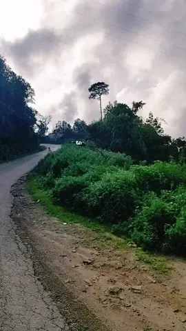 #trending #foryou #fyp #foryoupage #trending🔥 