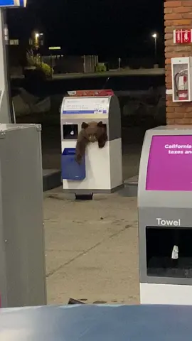 His greed sickens me.I couldn’t stop him!