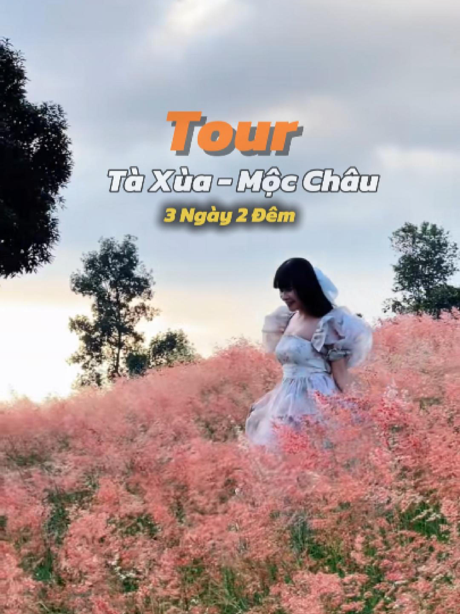 Tour Tà Xùa - Mộc Châu 3 ngày 2 đêm, Dự là sẽ rất Hot trong thời gian tới, Anh chị em Book Tour đi ngay tại Mộc nha. #taxua #mocchau #xuhuong #dulich #moctourist
