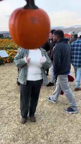 What did the pumpkin say to the patch? #pumpkinpatch 