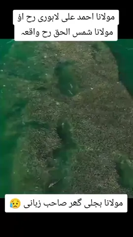 #viral video # 1000mvivws #1000mlike#