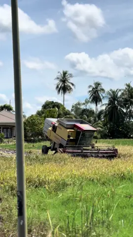 Pacak pala lu 🤪#buayaracingteam🔥 #newholland8070 #nh8070manual 