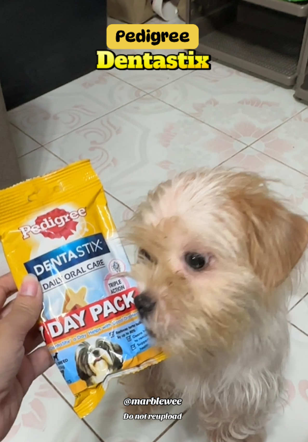 Keep those tails wagging and smiles shining with Pedigree Dentastix! 🦷🐾 The tasty treat that helps clean teeth and freshen breath — for dogs that deserve the best care every day! 💛 #Pedigree #Dentastix #DogTreats #dentalsticks #petessentials 