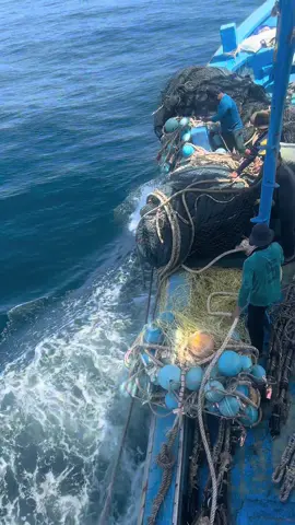 #thảcào 🍚 👕 🌾 💴 