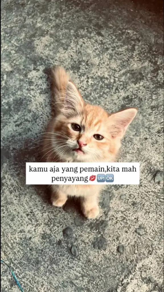 🆗🆗#fyppppppppppppppppppppppp#foryoupage#masukberanda