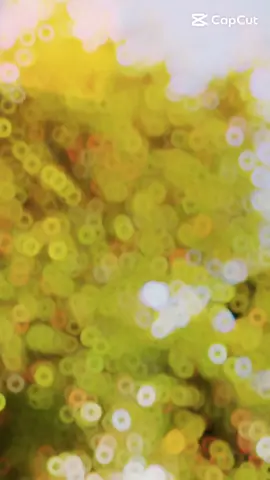 #creatorsearchinsights BHAI💖@Hamza shah #foryou #viral #brothers😎🔥 #dontunderreviewmyvideo 