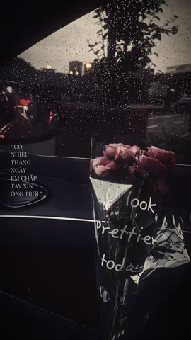 Có nhiều tháng ngày em chắp tay xin ông trời #capcut #capcutpioneer #pioneertemplate #creatorlfoungtn #nguoidautien 