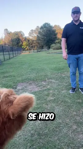 #wow #rexoarmy #curiosidades #rexo #datoraro 