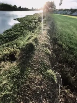 Hộ với 🥰🥰🥰🥰🥰🥰💦