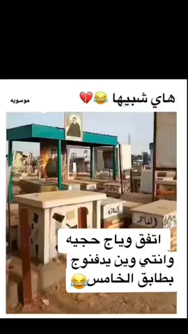 #مشاهير_تيك_توك #مشاهير_تيك_توك_مشاهير_العرب #الشعب_الصيني_ماله_حل😂😂 #مقاطع_ضحك #ساره_مهند_😩🦾 #comedia #هاشتاق #foryoupage #هاشتاقات_تيك_توك_العرب