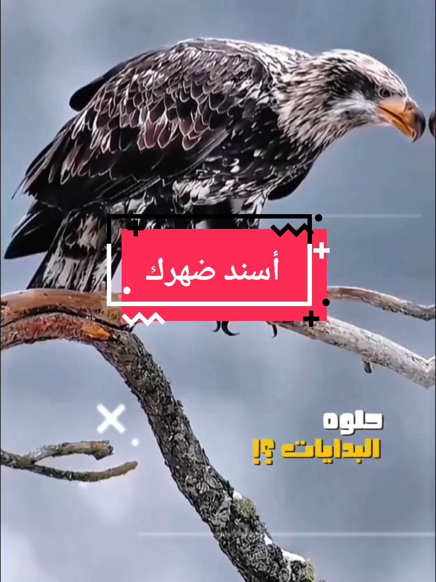 #CapCut أسند ضهرك و أتك عل الصبر  #الكابتن_محمد 