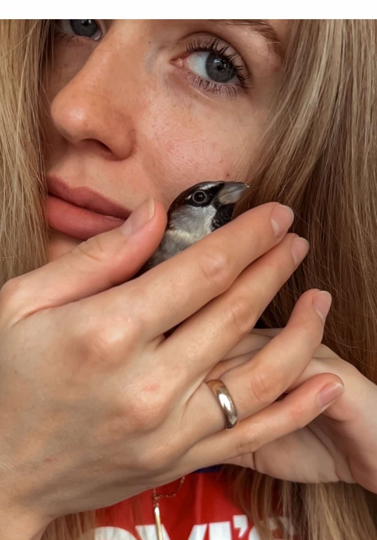 Фен,вода и музыка - три стихии моего домашнего воробья Шанса❤️ #sparrow #горобець #birdsoftiktoks #воробей #birdlovers 