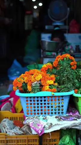 faith of a flower #festival  #fyp   #creatorsearchinsights 