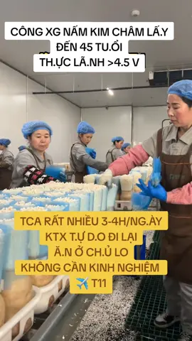 #xuhuong công xưởng lớn tuổi#dailoantrongtoi #taiwan #xklddailoan #haiduong 