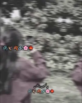 #right #new #viralvideo #fyp #viral 