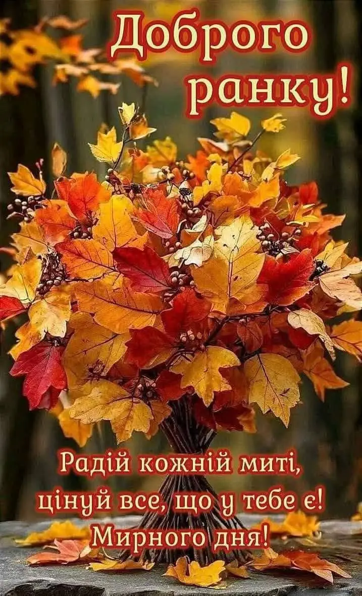 #рек #врекомендации #ранокдобрий 