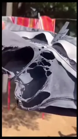 Картина маслом на холсте  Живопись маслом  Купить картину  #art #painting #живопись #беларусь #минск 