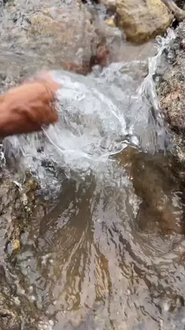 The Secret Beneath the Earth 💰🌿🌎 unearthing gold treasure Deep underground, where silence speaks louder than time, a hidden tunnel finally reveals its secret. Sunbeams break through a cracked ceiling, dancing across mountains of gold bars and ancient coins — each piece whispering tales of forgotten empires.🐉 Centuries ago, this chamber was carved to protect a king's final fortune, locked away from war, greed, and history itself. The world above moved on, kingdoms rose and fell... but the gold waited, untouched, in the dark.🌋 Now, with one beam of light, the forgotten wealth feels alive again like a dragon's hoard breathing after ages of silence. This is not just treasure... this is a legend reborn.⛏️🪏🛠️⚔️ #Hidden Treasure #GoldenCave #AncientWealth #Secret Tunnel #GoldRush   