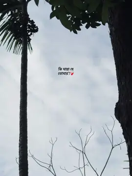 #foryoupage 