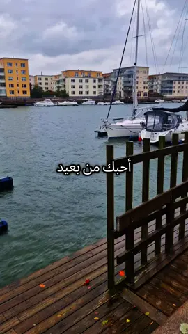 Firuze #اغاني_تركية_مترجمة #اكسبلور_متابعه_ولايك #xplore #istanbul #f 