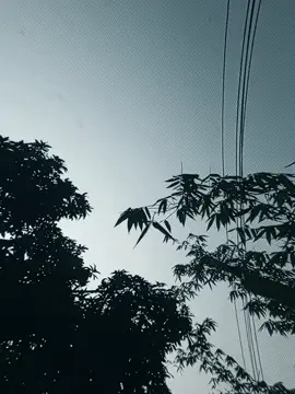 #🥺🥹ভালোবাসা