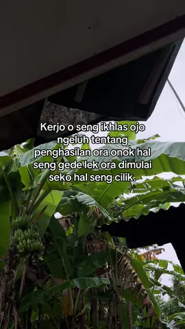 #fyp #bismillahfyp #katakatajawa #jawastory 