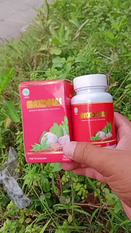 #maxdales #maxdalesori #maxdalesasli #maxdalesherbal #setrok 