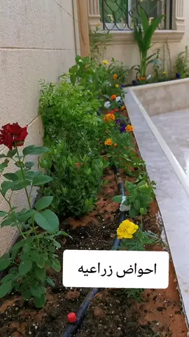 احواض زراعيه #احواض_زراعة #نباتات #تنسيق #حديقه #اشجار 