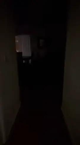 Si yo lo ví ustedes también... #ia #foundfootage #metrajeencontrado #terror #perro 