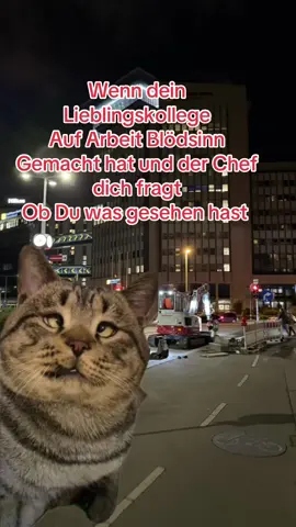 #CapCut #kollege #chef #blödsinn_im_kopf #fyp 