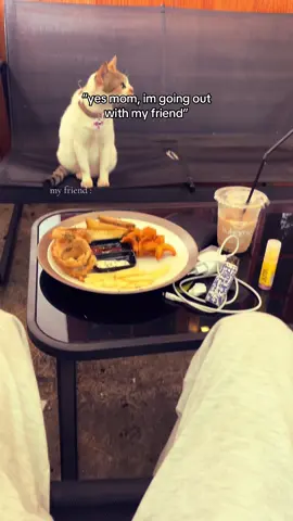 🫰🏻 @Tukamu House @destaarynfzr 